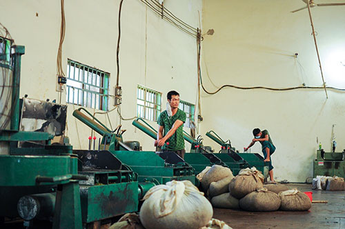 Dan Lam Dong nguy co mat Tet vi khong ban duoc che-Hinh-3