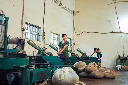 Dan Lam Dong nguy co mat Tet vi khong ban duoc che-Hinh-3