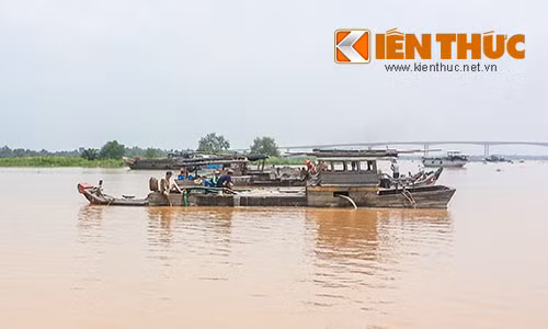 Rất nhiều ghe hút cát trái phép hoạt động một cách công khai nhưng chính quyền đành bất lực.