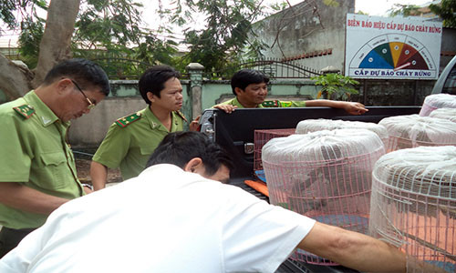 Cơ quan chức năng tiến hành thu giữ hàng chục lồng chim rừng quý hiếm.