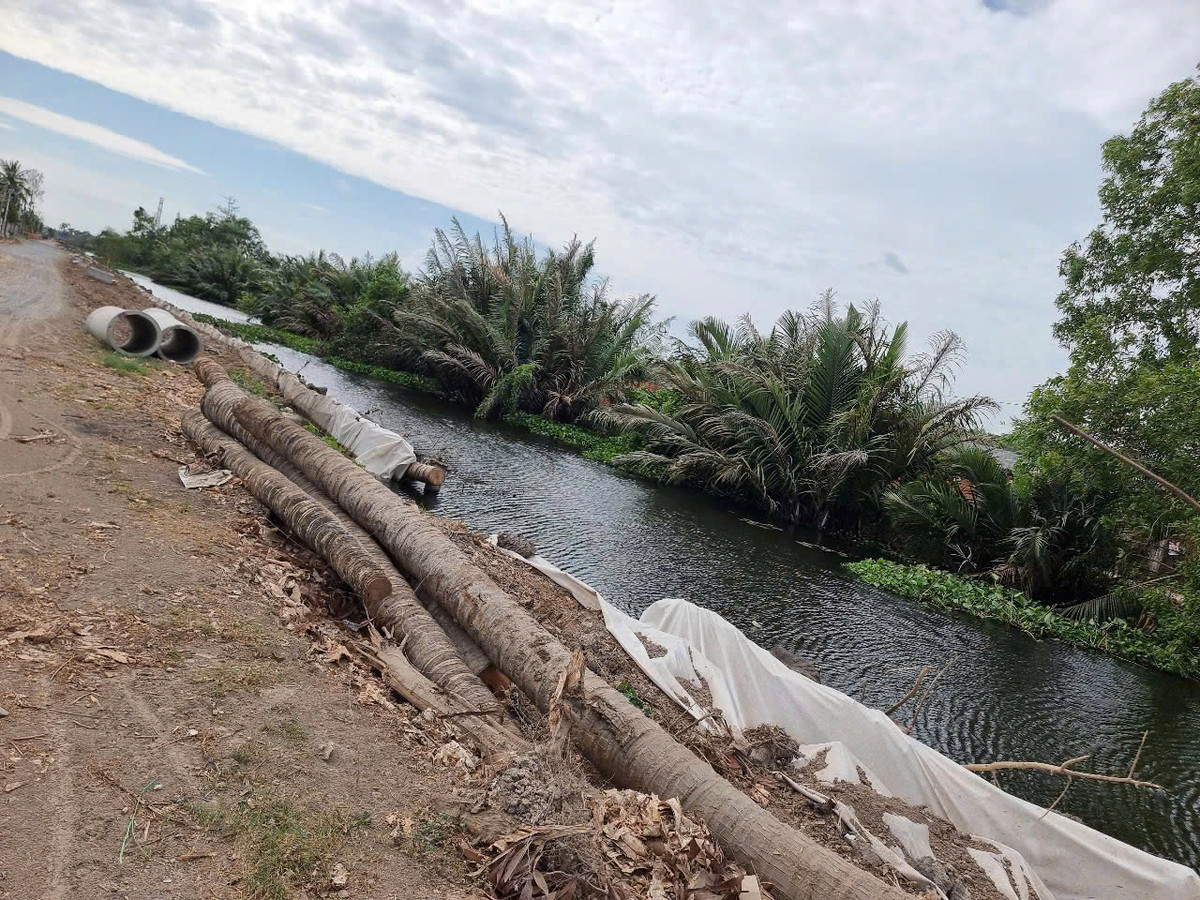 Tra Vinh: Can canh cong trinh thi cong duong Nguyen Trung Truc noi dai-Hinh-4