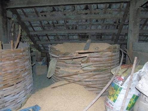 Bồ thóc bị hung thủ phá hỏng.