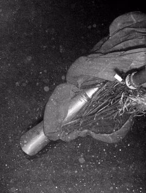 Đến ngày 7/4, Mỹ tiến hành trục vớt và đưa quả bom nhiệt hạch cuối cùng trong vụ tai nạn nguy hiểm trên lên bờ.