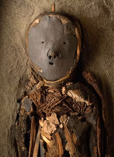 Nhiều lứa tuổi như trẻ em, thiếu niên, người trưởng thành và người già cũng được ướp xác để thi hài trường tồn với thời gian. Thậm chí, thai nhi tử vong trước khi chào đời cũng trải qua quy trình ướp xác.