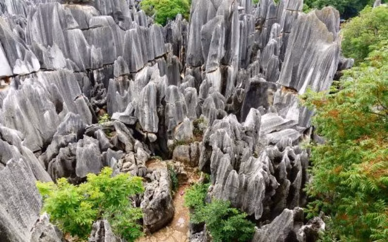 Nằm trong khu vực tự trị của người dân tộc Di Thạch Lâm thuộc tỉnh Vân Nam, rừng đá Thạch Lâm được các chuyên gia xác định được hình thành vào khoảng 270 triệu năm trước trong kỉ Than đá của thời Đại cổ sinh.