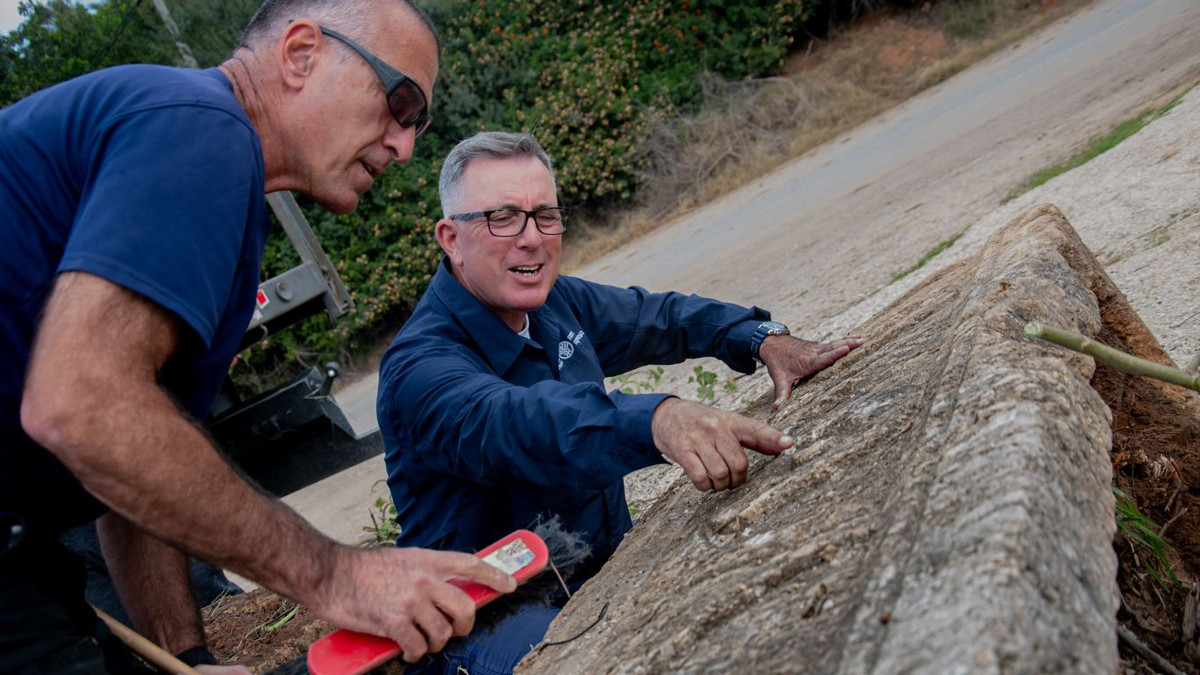 Trải qua thời gian dài, 2 quan tài cổ bị lãng quên do bị vùi lấp dưới lớp cát và cây cỏ.