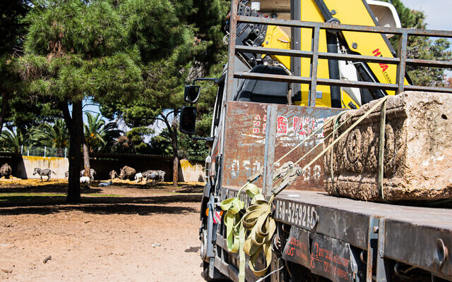 Các chuyên gia quan sát, nghiên cứu tỉ mỉ các hình vẽ trang trí trên quan tài và suy đoán nhiều khả năng người chết là có địa vị xã hội cao trong thời kỳ La Mã.