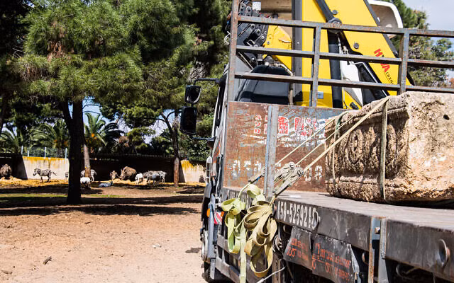 Các chuyên gia quan sát, nghiên cứu tỉ mỉ các hình vẽ trang trí trên quan tài và suy đoán nhiều khả năng người chết là có địa vị xã hội cao trong thời kỳ La Mã.