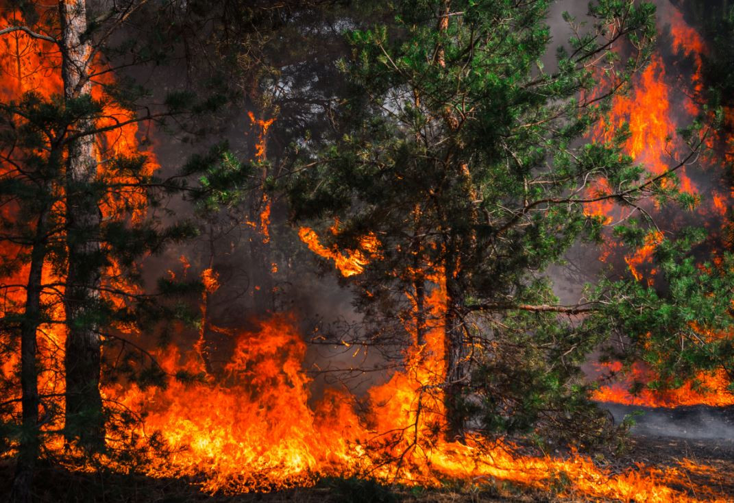 Thêm nữa, những đợt nắng nóng khắc nghiệt kéo dài trong nhiều tuần, nhiều tháng có nguy cơ gây ra nhiều trường hợp tử vong vì sốc nhiệt hoặc dẫn tới các vụ cháy rừng nguy hiểm.
