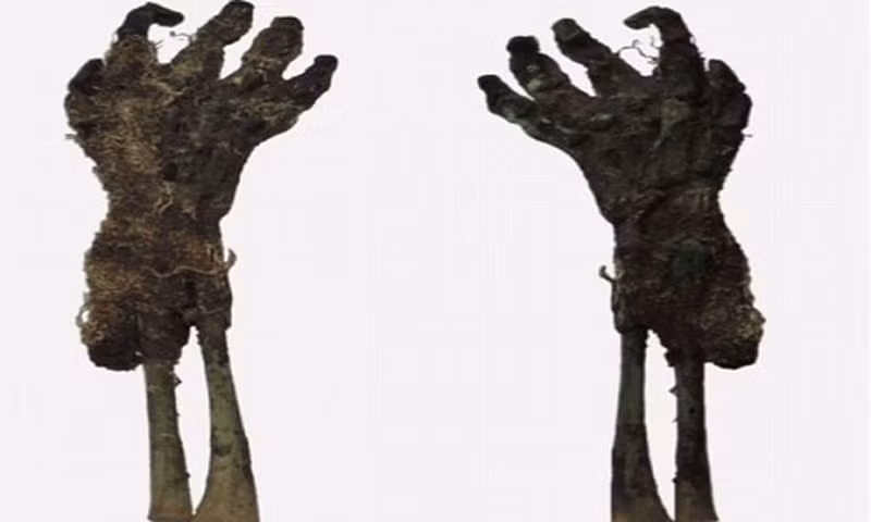 Cách đây 16 năm, nhà khảo cổ học người Hungary, tiến sĩ Janos Balazs phát hiện một xác ướp trẻ em trong ngôi mộ ở ngôi làng Nyarlorinc, miền Nam nước này.