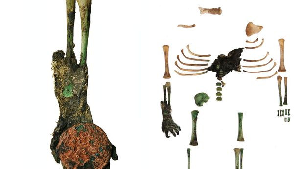 Đứa trẻ có chiều cao cơ thể từ 28 - 33 cm và có trọng lượng khoảng 0,5 - 1 kg.