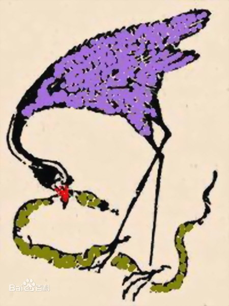 Theo các nhà nghiên cứu, chim trấm là một loài chim cực độc. Nó thường ăn rắn độc và bọ cạp độc. Vì vậy, chim trấm có lượng độc tố lớn trong cơ thể. Ngay cả phân của nó cũng rất độc. Do đó, phân chim trấm bỏ vào rượu sẽ trở thành chất độc nguy hiểm khiến chim Lưu Diễn tử vong nhanh chóng.