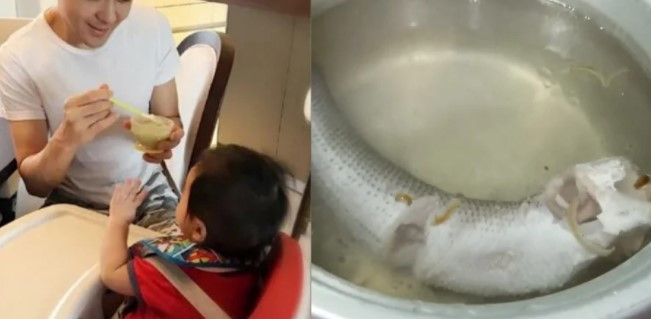 5 loai ca tre an vao IQ tang manh, chieu cao tang khung