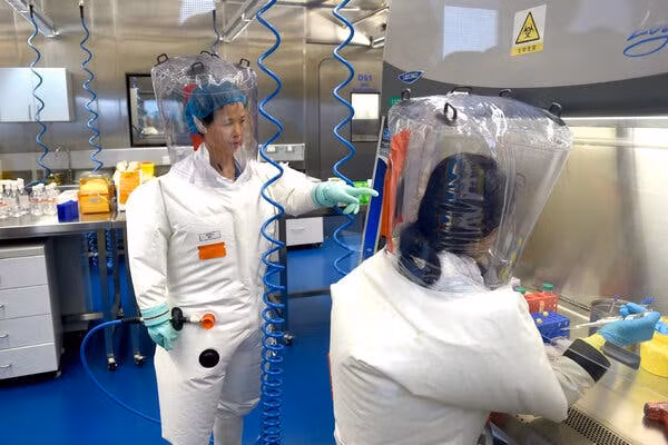 Bà Shi Zhengli cho hay số lượng ca nhiễm COVID-19 mới ngày càng tăng. Điều này sẽ tạo điều kiện cho virus có nhiều cơ hội đột biến và chọn lọc.