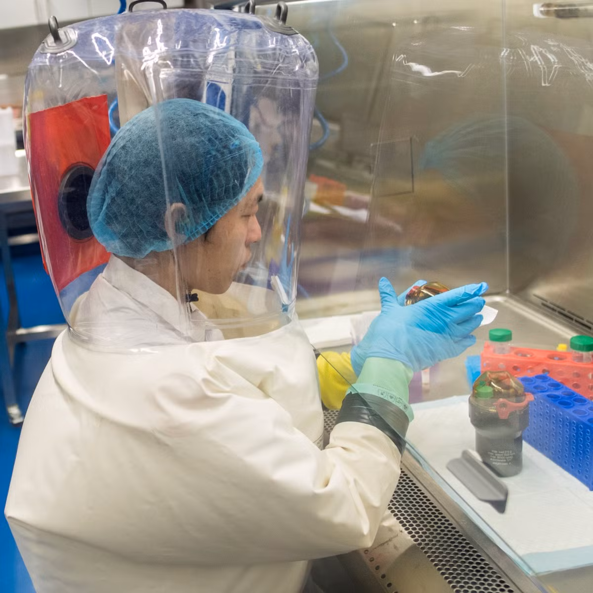 Bà Shi Zhengli có tên trong danh sách 100 người có ảnh hưởng nhất năm 2020 của tạp chí Time danh tiếng. Một trong những nguyên nhân bà có tên trong danh sách này vì là người có công lớn trong phát triển một trong những cơ sở dữ liệu lớn nhất thế giới về các virus liên quan đến dơi.