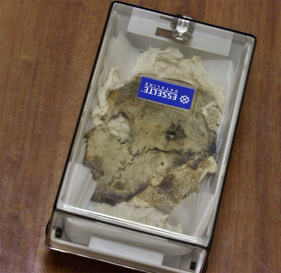 Trong số những thứ được tìm thấy có mảnh xương sọ và những mảnh vỡ xương hàm. Giới nghiên cứu đặc biệt chú ý mảnh xương sọ vì nó có một lỗ trên đỉnh. Các chuyên gia Liên Xô xác định đây là chỗ bị trúng đạn. Viên đạn bay qua từ đầu từ bên này sang bên kia và ra khỏi đầu ở đỉnh sọ. Lỗ hổng đó chính là chỗ viên đạn bay ra.