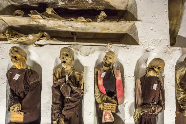 3. Hầm mộ Capuchin, Ý. Hầm mộ Capuchin có lẽ là một trong những điều kỳ lạ nhất thu hút du khách ở thành phố Palermo. Lạ lùng và rùng rợn bởi một bộ sưu tập vài trăm xác chết treo trên tường, đây là một trải nghiệm độc đáo...