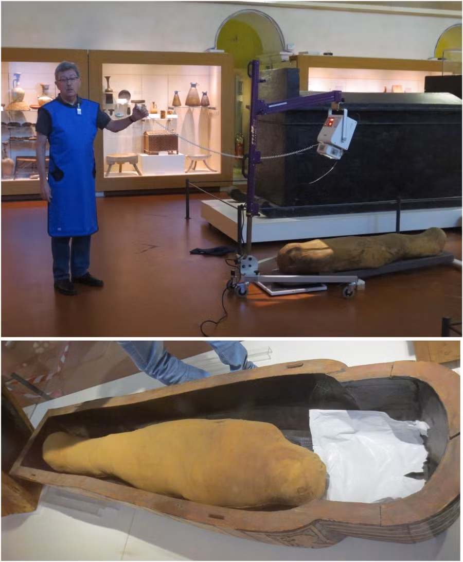 Điều này khiến giới chuyên gia vô cùng bất ngờ bởi ban đầu họ cho rằng việc ướp xác còn nguyên nội tạng sẽ khiến xác ướp của vợ chồng Kha và Merit không được bảo quản tốt như cách làm truyền thống.