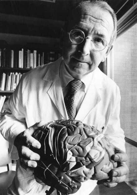 Tiến sĩ MacLean cho rằng, những hành vi như gây hấn, đói bụng hoặc ham muốn tình dục... của con người nằm trong một cấu trúc não gọi là não tạng (hay còn gọi hệ limbic - tức não thú).