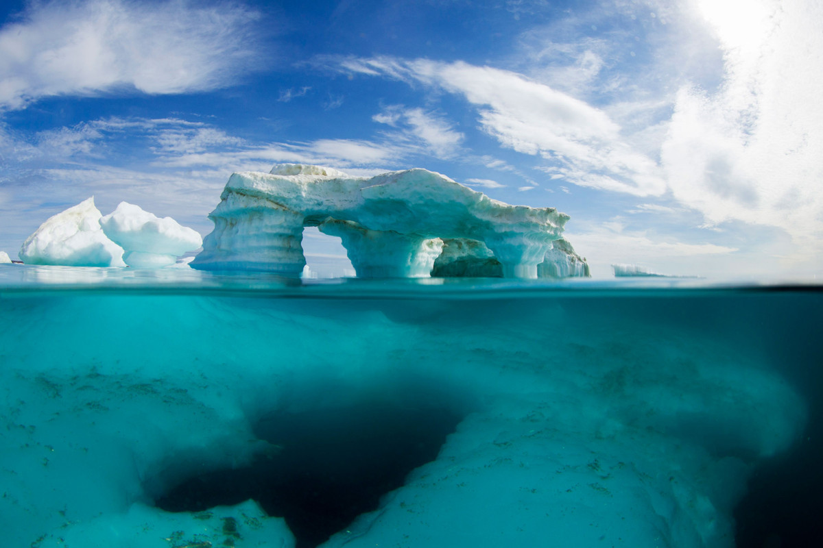 Kéo theo đó là nhiều ngành công nghiệp sẽ "chết" theo. Ví dụ như ngành công nghiệp chế biến hải sản sẽ dần dần biến mất khi các ngư dân không còn đánh bắt được bất cứ loài hải sản nào ở các đại dương.