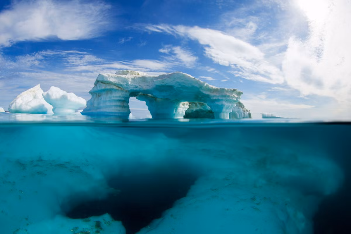 Kéo theo đó là nhiều ngành công nghiệp sẽ "chết" theo. Ví dụ như ngành công nghiệp chế biến hải sản sẽ dần dần biến mất khi các ngư dân không còn đánh bắt được bất cứ loài hải sản nào ở các đại dương.