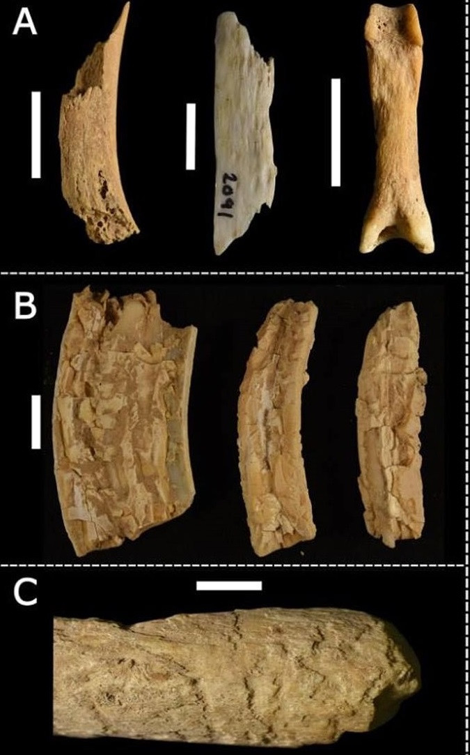 Không những vậy, linh cẩu còn có thói quen cất giữ thức ăn như xương, thịt và thậm chí nhặt bất kỳ phần thịt dư thừa nào từ con mồi mà chúng tìm thấy rồi mang về nơi trú ngụ. Với việc tìm thấy hàng chục nghìn bộ xương, các chuyên gia suy đoán hang động này có thể là nơi ẩn náu của linh cẩu trong hàng nghìn năm.