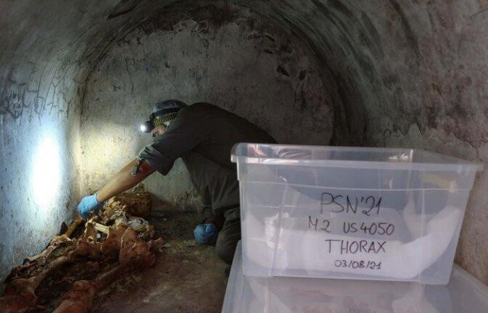 Thêm nữa, các chuyên gia còn tìm thấy bên trong ngôi mộ một số mảnh vải vụn, bình đựng rượu. Những món đồ tùy táng này được các chuyên gia kỳ vọng sẽ giúp giải mã bí ẩn về cuộc sống của Marcus như thói quen ăn uống, trang phục...