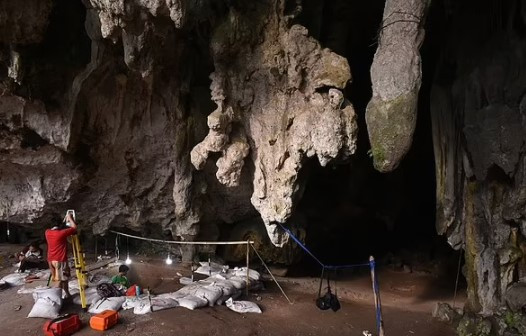 Kết quả kiểm tra, phân tích gen cho thấy Bessé không có chung tổ tiên với bất kỳ người nào trên thế giới hiện đại cũng như những bộ hài cốt cổ đại được tìm thấy từ trước đến nay.