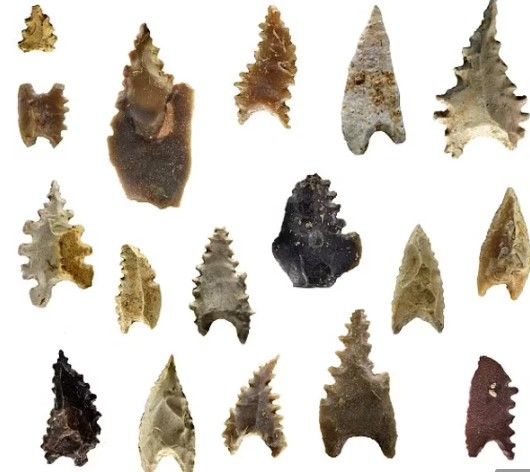 Theo giáo sư Adam Brumm của Đại học Griffith, Australia, đồng thời là người dẫn đầu nghiên cứu cho biết việc tìm thấy ADN nguyên vẹn như ở hài cốt của Bessé là rất hiếm có.