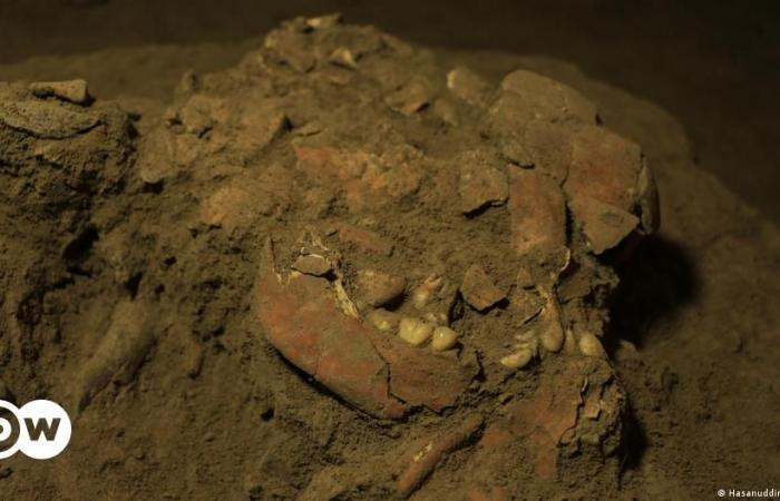 Để tiện cho việc nghiên cứu, các chuyên gia đặt tên của thiếu nữ chết cách đây 7.200 năm là Bessé. Thông qua các kiểm tra, phân tích, nhóm chuyên gia cho hay đây là lần đầu tiên ADN của người cổ đại được phát hiện ở Wallacea, chuỗi đảo và rạn san hô ở giữa lục địa châu Á và Australia.