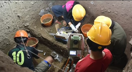 Khoảng 50% cấu tạo gen của Bessé tương tự với người Australia bản địa, những người từ New Guinea và các đảo Tây Thái Bình Dương.