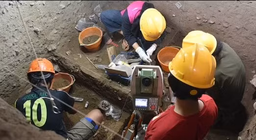 Khoảng 50% cấu tạo gen của Bessé tương tự với người Australia bản địa, những người từ New Guinea và các đảo Tây Thái Bình Dương.