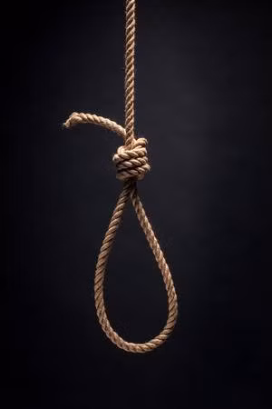 Sau 3 lần thi hành án treo cổ không thành, việc xử tử John Lee được hoãn lại. Một thời gian sau, Bộ trưởng Nội vụ Anh gây xôn xao dư luận khi quyết định ân giảm án tử hình của gã xuống còn án tù chung thân.