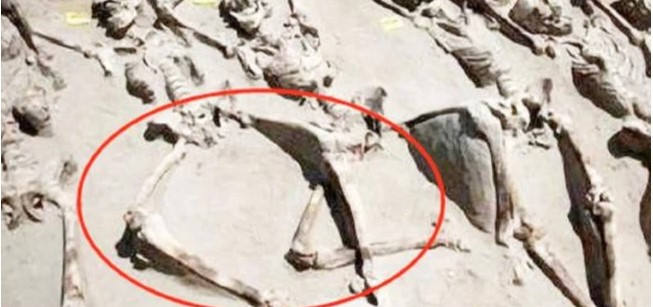 Do đó, tại lăng mộ của Tần Thủy Hoàng, nhiều thi hài phi tần được tìm thấy. Điều đáng chú ý là đa số họ chết trong tư thế chân không khép lại. Điều này khiến nhiều người tò mò không hiểu vì sao những phi tần tử vong trong tư thế lạ lùng như vậy. Liệu họ đã gặp phải chuyện gì trước khi chết?