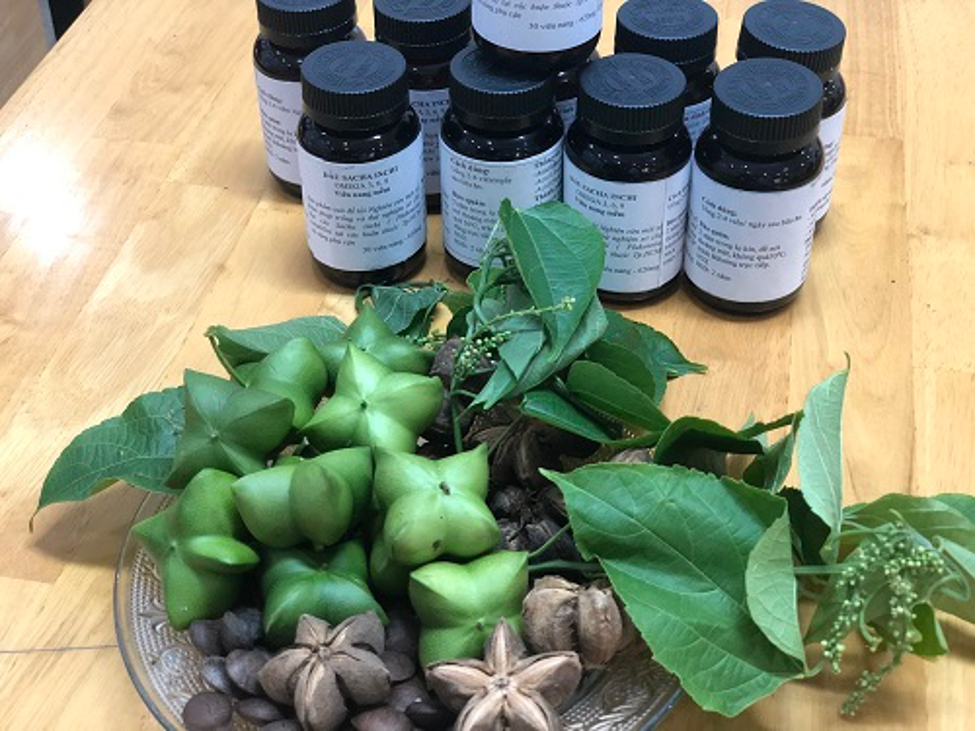 Vien nang Omega 3 tu cay sacha inchi chat luong nhu dau ca-Hinh-3
