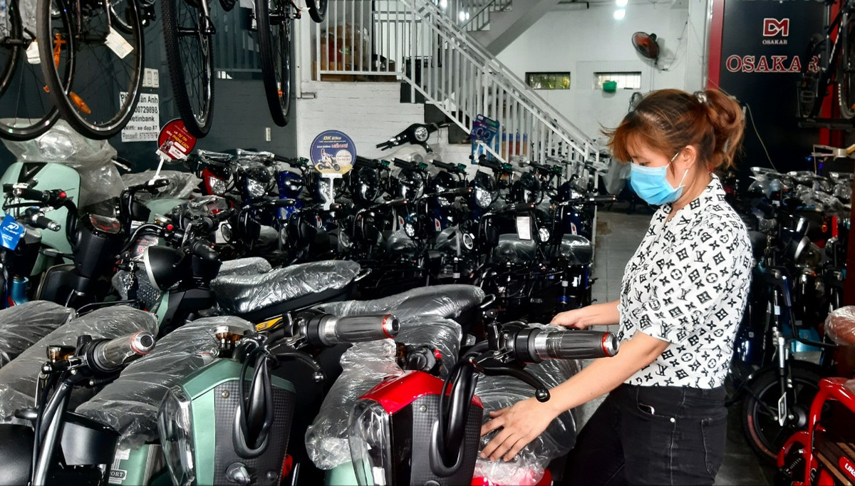 Xe dap dien co that su an toan, tien loi?-Hinh-2