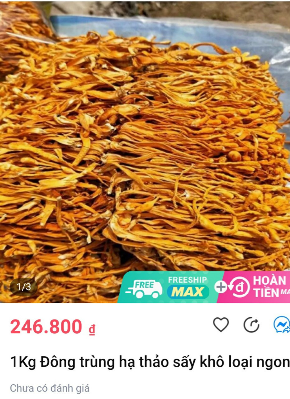 Thực hư đông trùng hạ thảo online giá rẻ Thuc hu dong trung ha thao online gia re