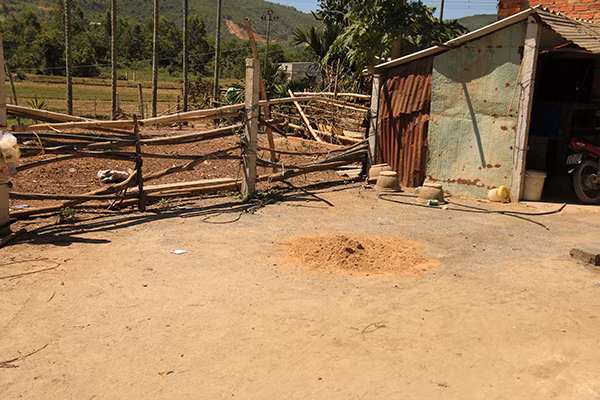 Bat nghi pham giet nu sinh Da Nang da man trong dem