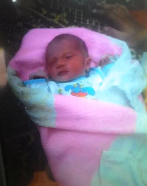 Be gai so sinh bi bo roi o rung, kien can khap nguoi