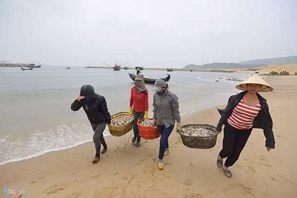 Cơ quan chức năng khẳng định nước biển miền Trung an toàn để tắm, nhưng chưa kết luận cá biển ở đây ăn được hay không. Ảnh minh họa: Zing News.