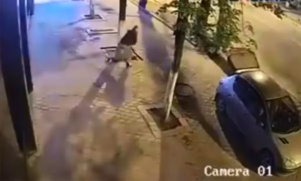 Vụ trộm gạch đặc biệt nhất hành tinh. Ảnh cắt từ clip.