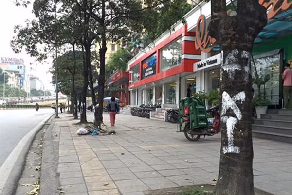  2, Hà Nội quét sơn đánh mã số mỗi cây xanh hết gần… 700 nghìn đồng Số tiền cắt cỏ, tỉa cây ở Đại lộ Thăng Long tuy chỉ có 24km nhưng mất tới 53 tỷ/năm khiến dư luận nhớ đến số tiền Hà Nội đã chi ra để quét sơn đánh mã số cây khi chặt hạ hàng loạt cây xanh tháng 3/2015.