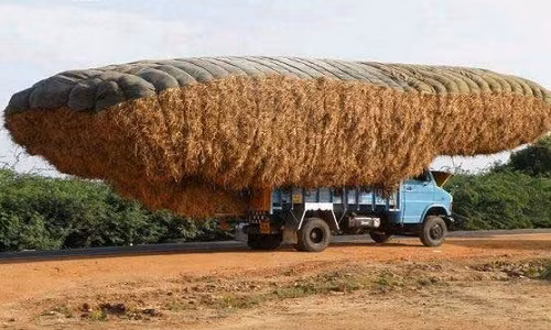 Một chiếc xe chở quá tải ở Ấn Độ.