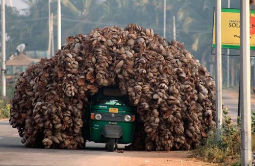 Thật là khủng khiếp.