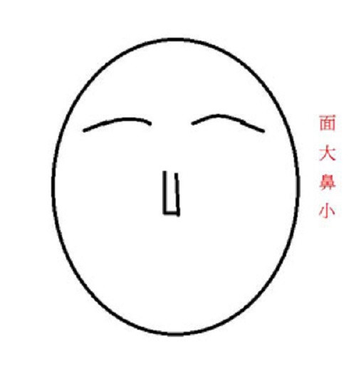 Phụ nữ có mũi nhỏ trên khuôn mặt lớn thường phải lo toan mọi việc trong gia đình do người chồng bất tài. Cuộc sống vợ chồng cũng hiếm khi được vui vẻ.