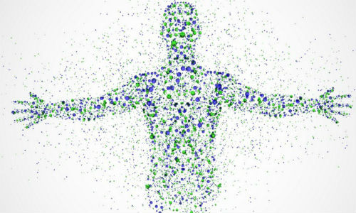 Cơ thể người chứa đến 7 octillion nguyên tử.