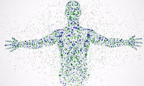 Cơ thể người chứa đến 7 octillion nguyên tử.