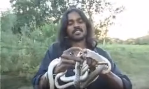 Người đàn ông ăn rắn còn sống.