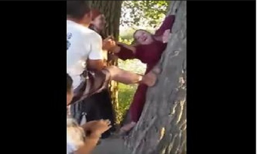 Người đàn bà béo mắc kẹt trong thân cây.