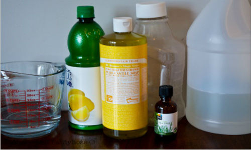 Nước rửa chén tự chế tại nhà.